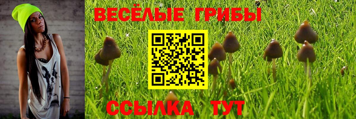 Псилоцибиновые грибы GOLDEN TEACHER  Вход с VPN  купить наркотики сайты  Курчатов 