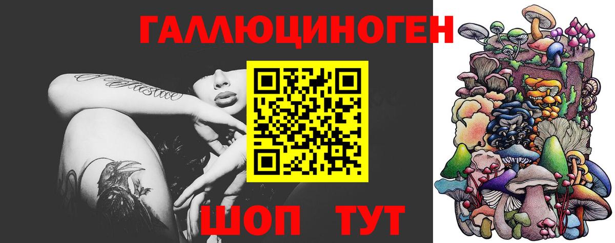 Мефедрон   Вход с VPN  Гашиш  Курчатов  Сколько стоит  Марихуана  COCAIN  COCAIN 
